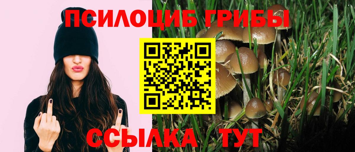 Псилоцибиновые грибы Psilocybine cubensis Геленджик